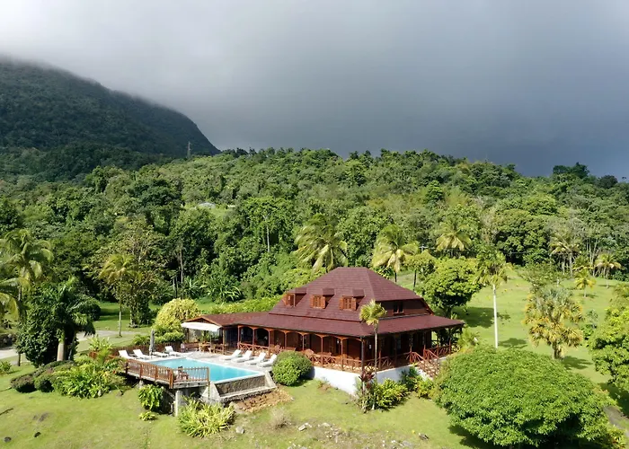 Jardin Malanga